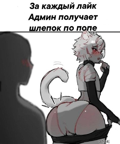 За каждый лайк Админ получает шлепок по попе