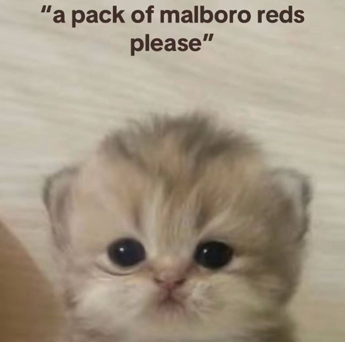 “a pack of malboro reds please”