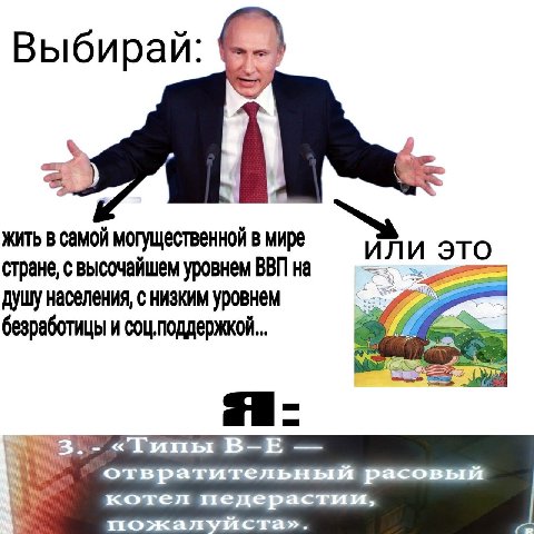 Выбирай Жить в самой могущественной в мире или это стране, с высочайшем уровнем ВВП на душу населения, с низким уровнем безработицы и соц.поддержкой «Тины отвратительный расовый котел педерастии,