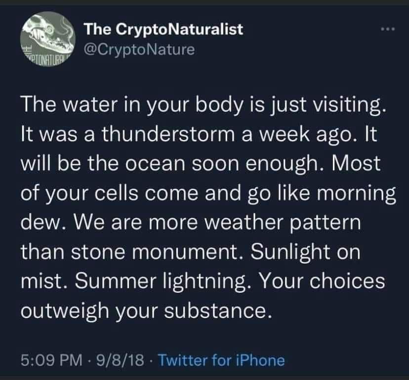 The CryptoNaturalist @CryptoNature The water in your body is just visiting. К was a thunderstorm a week ago. It will be the ocean soon enough. Most of your cells come and like morning dew. We are more