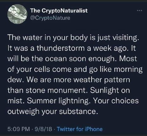 The CryptoNaturalist @CryptoNature The water in your body is just visiting. К was a thunderstorm a week ago. It will be the ocean soon enough. Most of your cells come and like morning dew. We are more