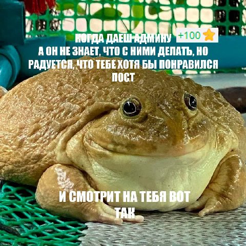 АОН НЕ ЗНАЕТ, ЧТО С НИМИ ДЕЛАТЬ, НО РАДУЕТСЯ, ЧТО ТЕБЕХОТЯ БЫ ПОНРАВИЛСЯ Я НА ТЕБЯ 4 7