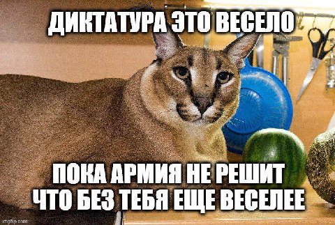 ДИКТАТУРА это ПОКА АРМИЯ НЕ РЕШИТ ЧТО БЕЗ ТЕБЯ ЕЩЕ ВЕСЕЛЕЕ