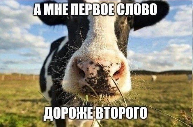 МНЕ Я 14 ВТОРОГО К