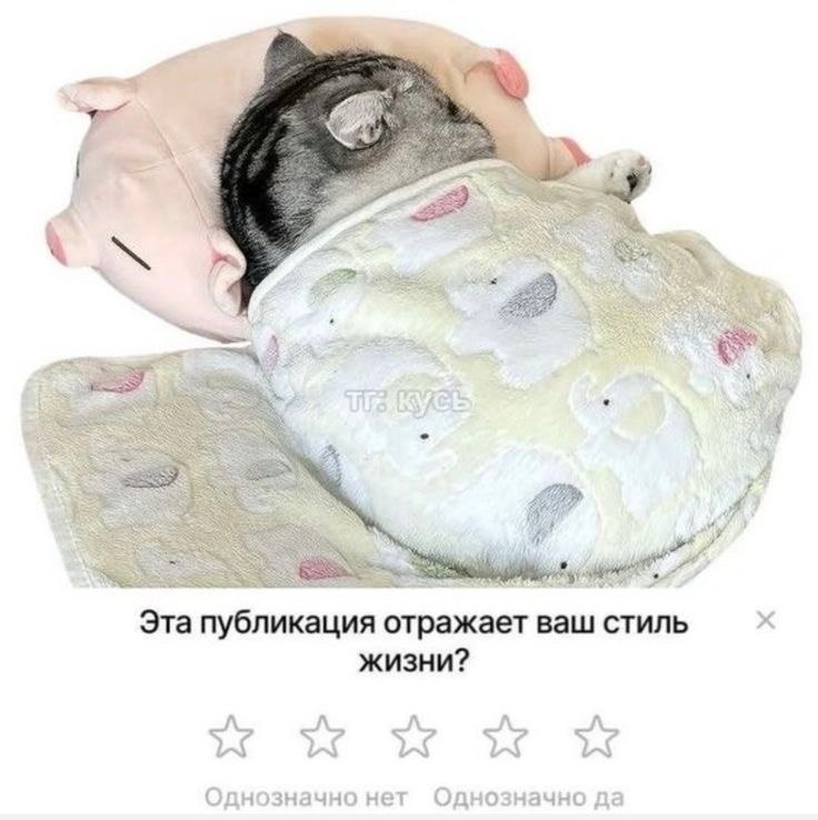 3 hey Эта публикация отражает ваш стиль жизни?