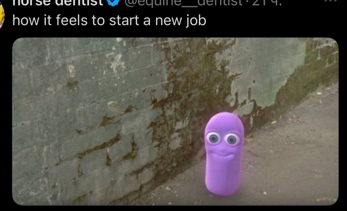 how it feels to start а new job