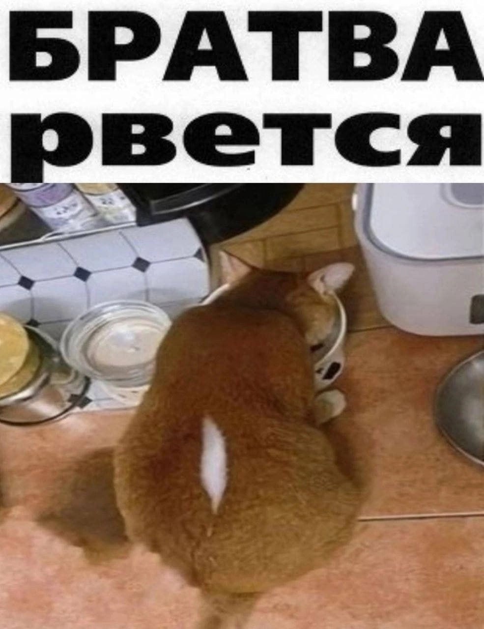 БРАТВ рвется