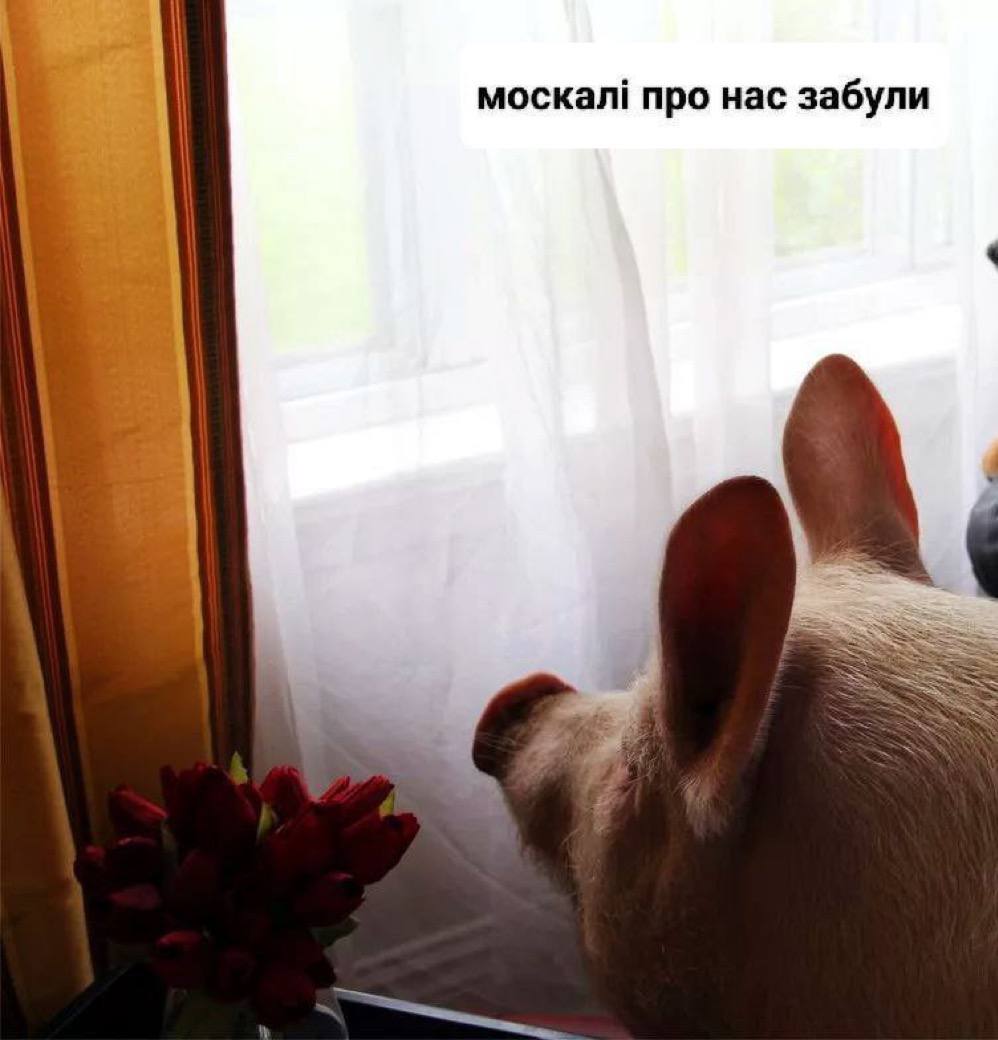 москал! про нас забули
