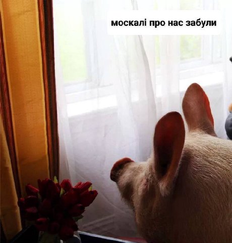 москал! про нас забули