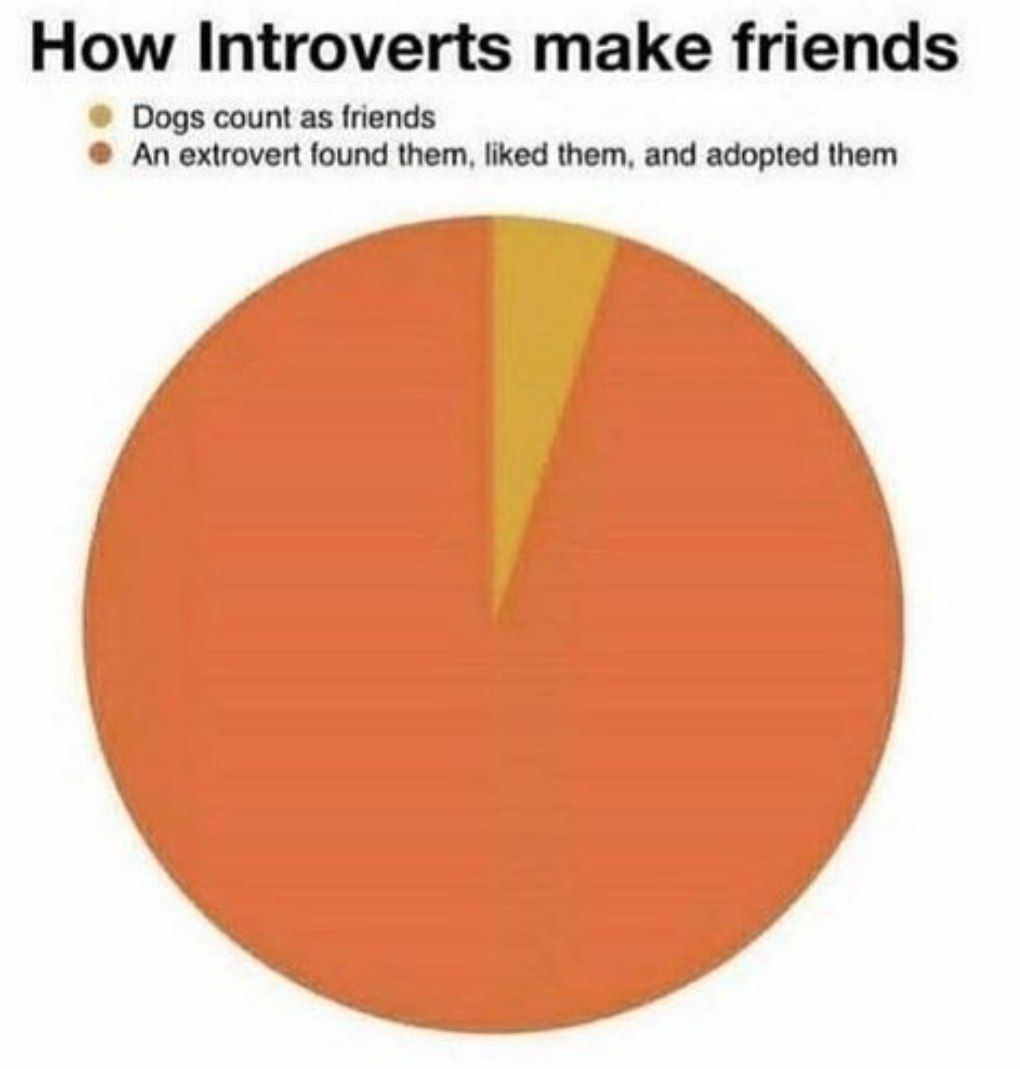 How Introverts make friends Dogs count as friends An extrovert found them, liked them, and adopted them