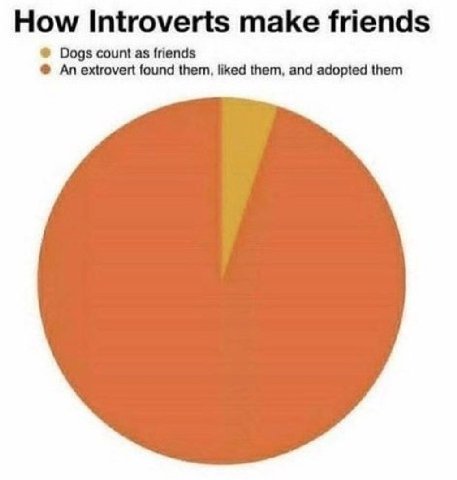 How Introverts make friends Dogs count as friends An extrovert found them, liked them, and adopted them