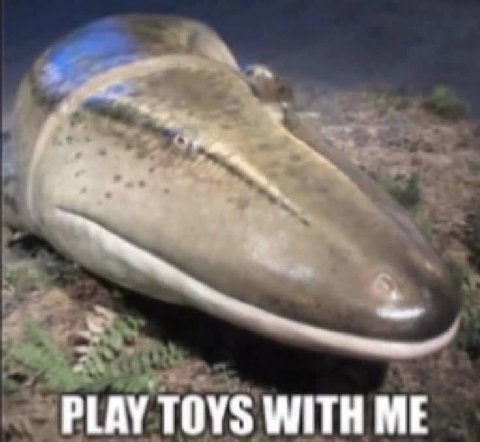 PLAY TOYS WITH ME