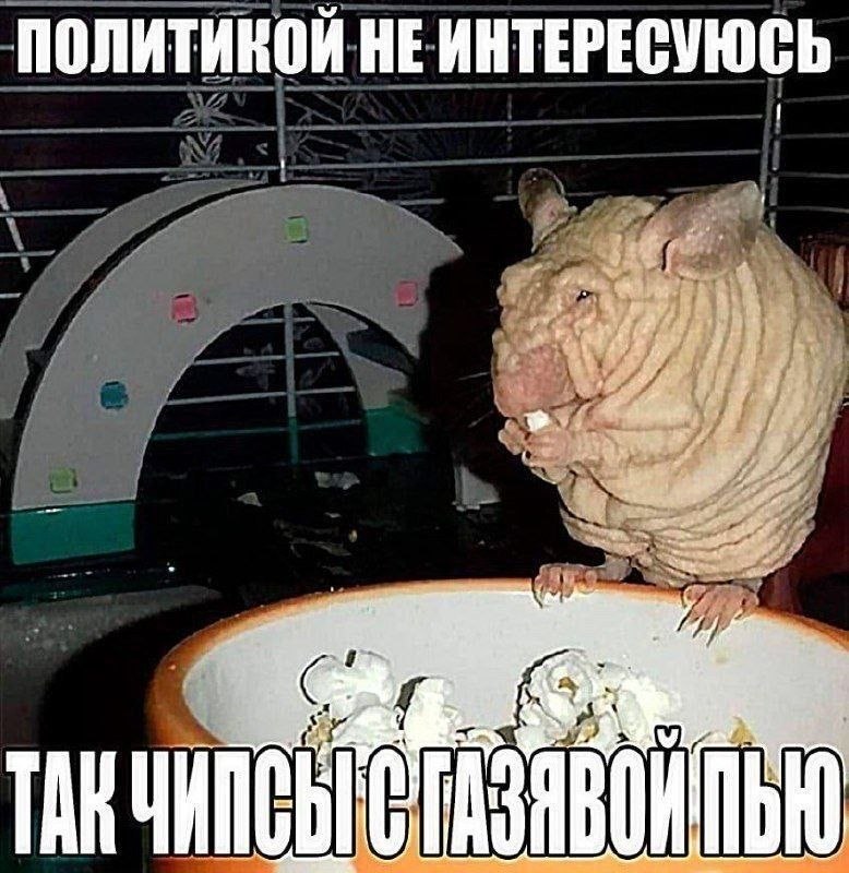 НЕ ИНТЕРЕСУЮСЬ АВОИ