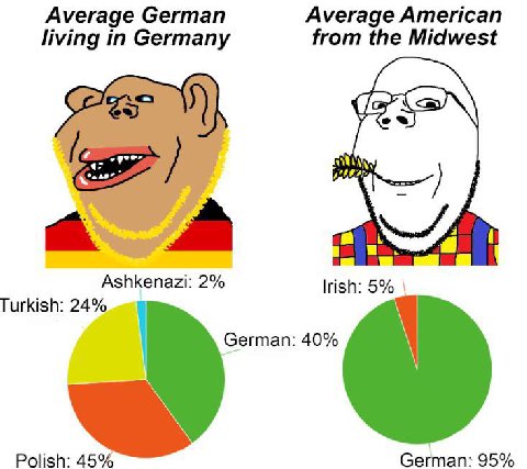 Ауегаде Сегтап Average American living in Germany from the Midwest a A Ashkenazi: 2% 5% Turkish: 24% Сегтап: 40% Polish: 45% German: 95%