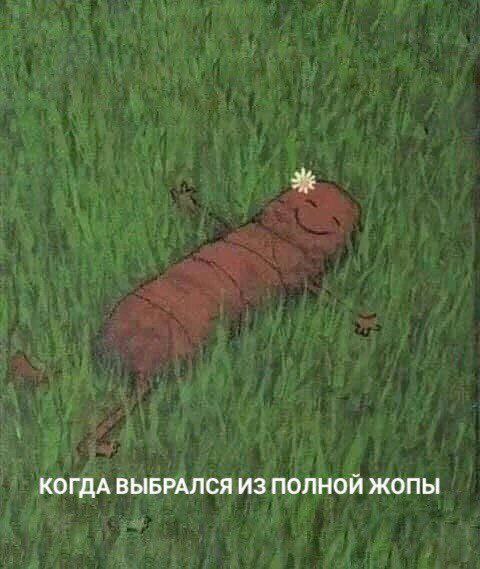 КОГДА ВЫБРАЛСЯ ИЗ ПОЛНОЙ ЖОПЫ