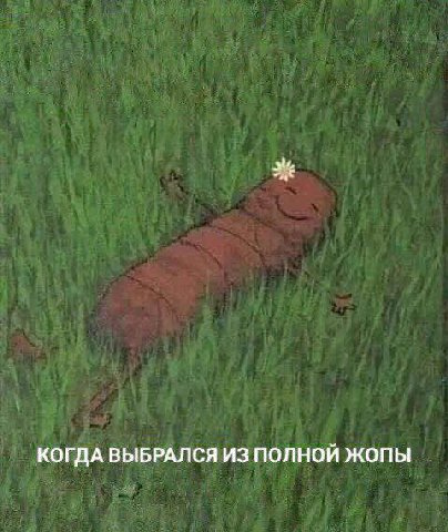 КОГДА ВЫБРАЛСЯ ИЗ ПОЛНОЙ ЖОПЫ