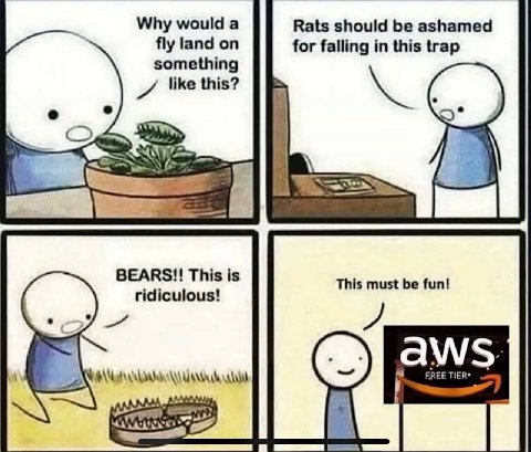 Why would а Rats should be ashamed fly land on for falling in this trap something this? BEARS!! This is This must be fun! ridiculous! aws FREE