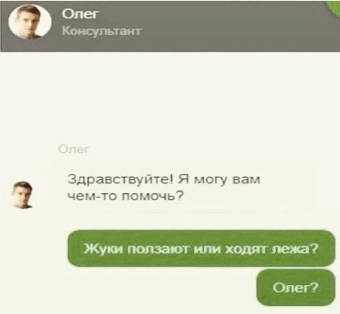 (79 Олег Консультант Здравствуйте! Я могу вам чем-то помочь? Жуки ползают или ходят лежа?