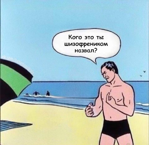 Кого это ты шизофреником назвал?