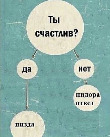 Ты счастлив? пидора ответ пизда