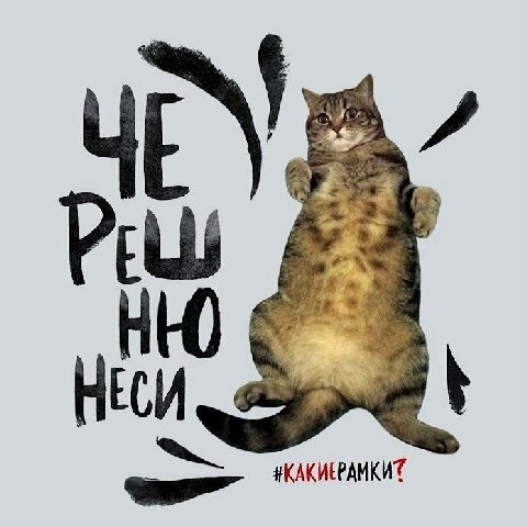 #КАКИЕРАМКИТ