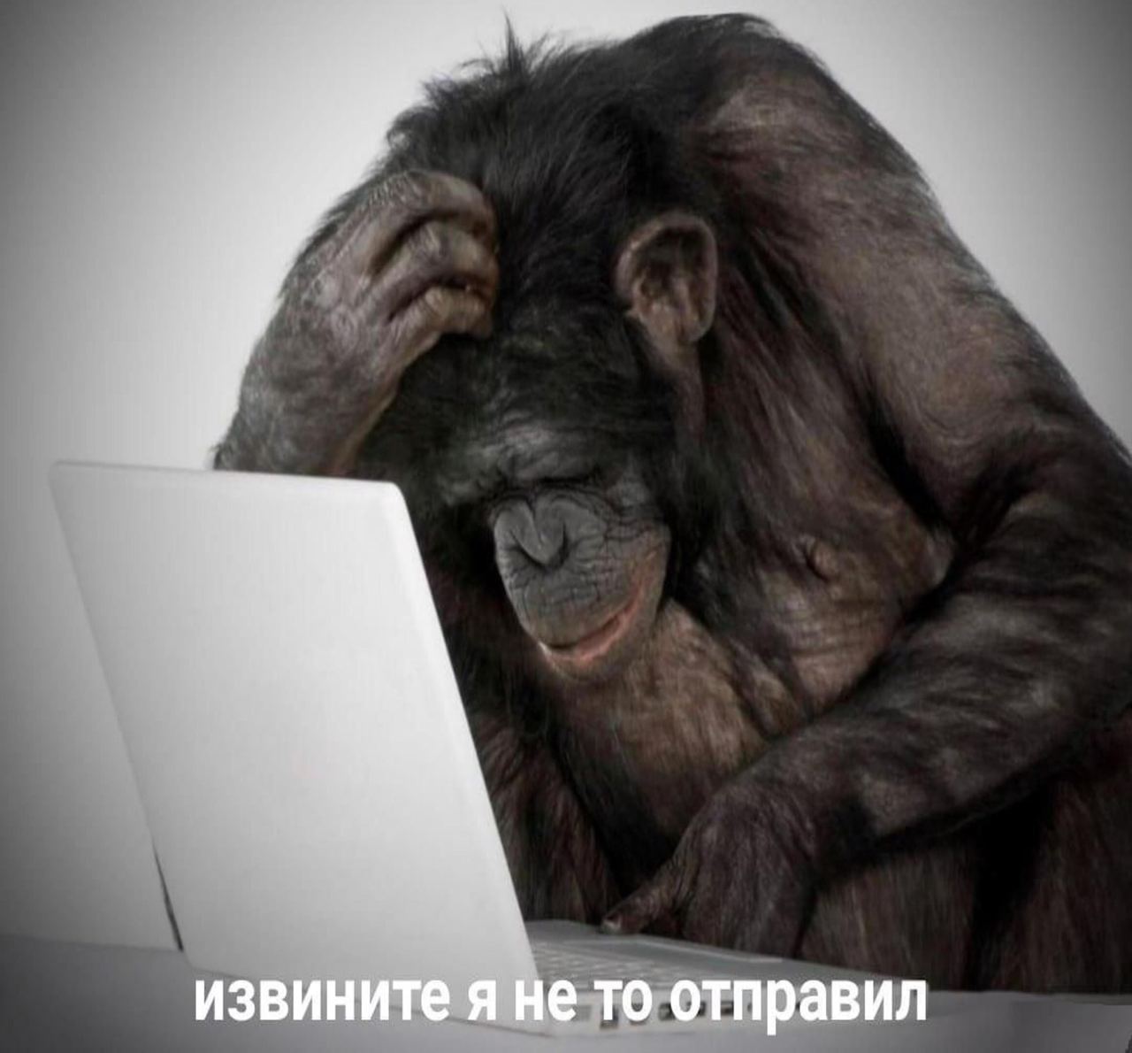 извините я Не то отправил