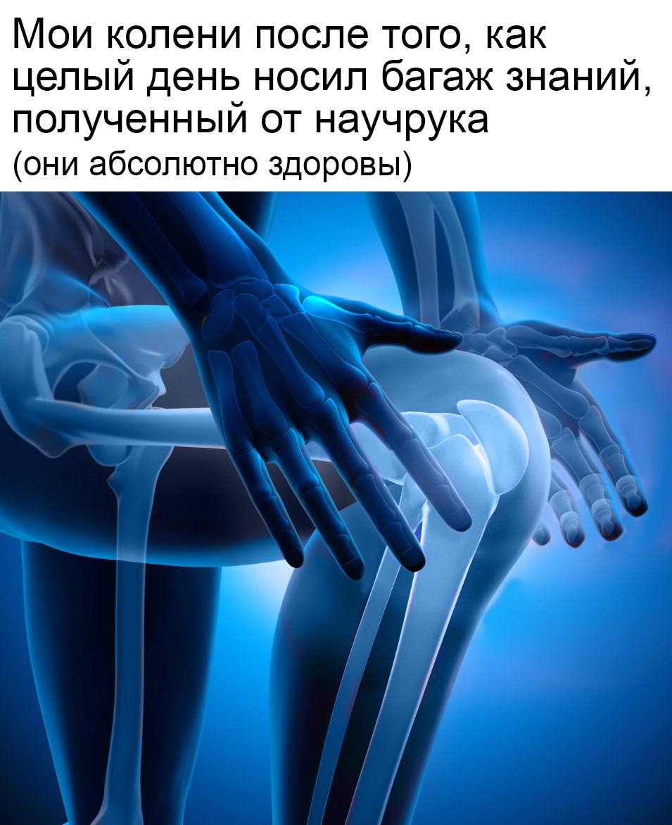 Мои колени после того, как целый день носил багаж знаний, полученный от научрука (они абсолютно здоровы)