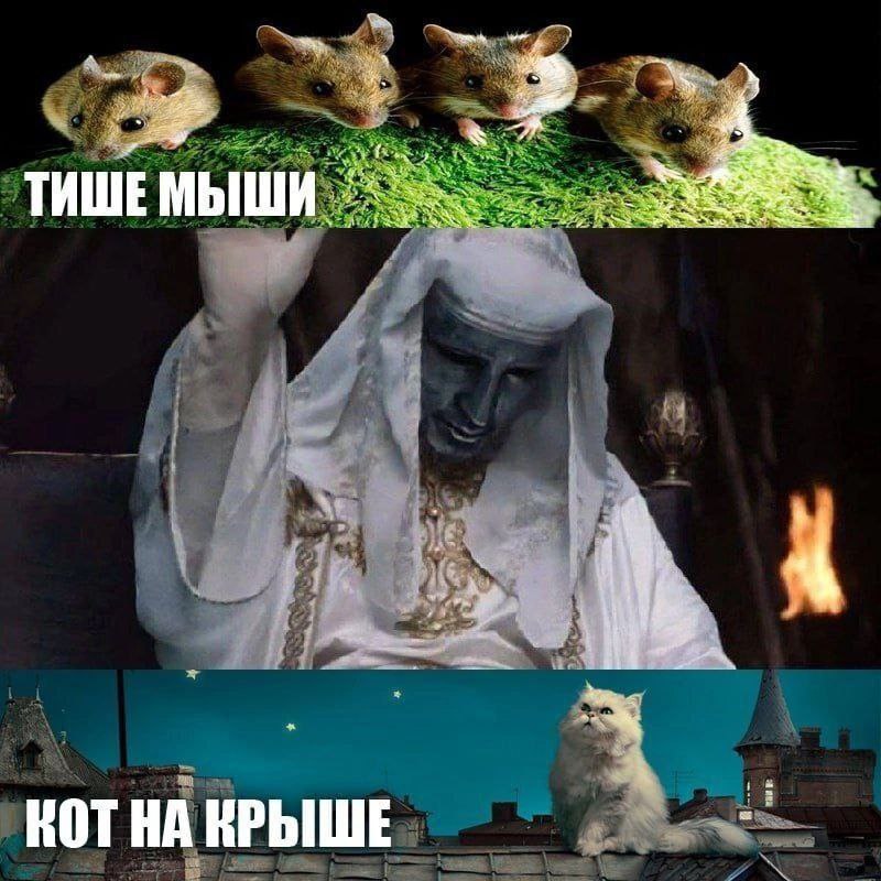 4, ТИШЕ МЫШИ tan 2 2% КОТ НА КРЫШЕ