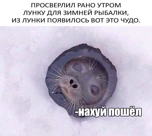 ПРОСВЕРЛИЛ РАНО УТРОМ ЛУНКУ ДЛЯ ЗИМНЕЙ РЫБАЛКИ, ИЗ ЛУНКИ ПОЯВИЛОСЬ ВОТ ЭТО ЧУДО. -нахуйпошёл