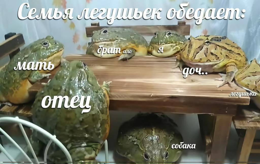 я PAIN gou.. собака