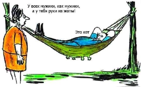 И У всех мужики, как мужики, у/ а у тебя руки из жопы! Это кот
