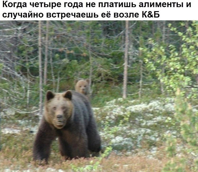 Когда четыре года не платишь алименты и случайно встречаешь её возле