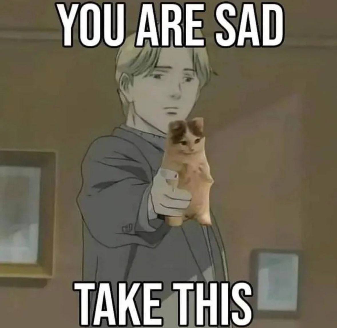 YOU ARE SAD TAKE THIS