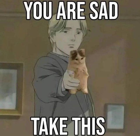 YOU ARE SAD TAKE THIS