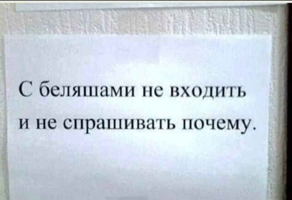 С беляшами не входить и не спрашивать почему.