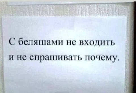 С беляшами не входить и не спрашивать почему.