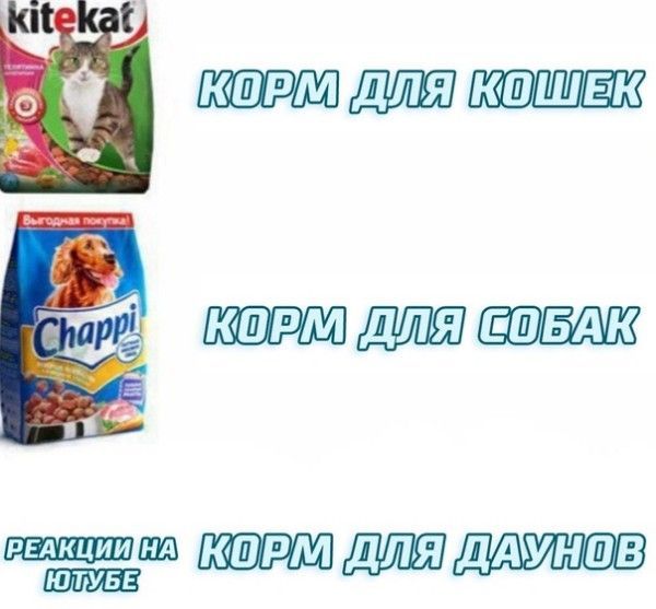 kiteKat КОРМ