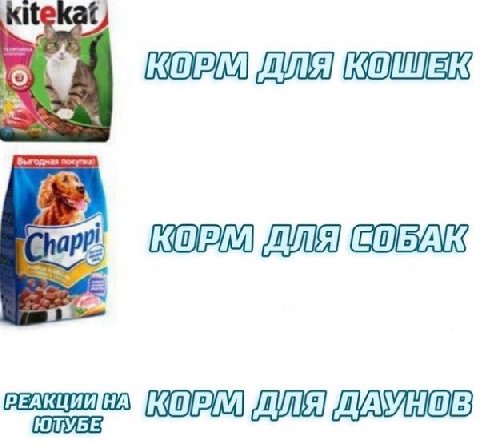 kiteKat КОРМ