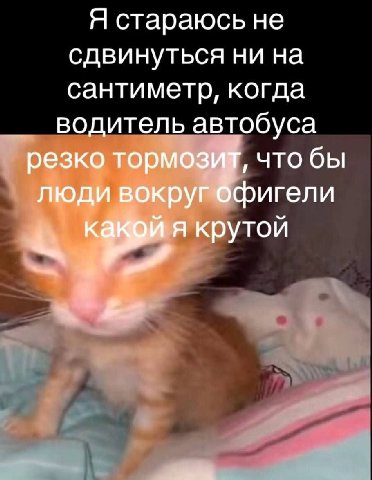 Я стараюсь не сдвинуться ни на сантиметр, когда водитель автобуса резко тормозих, что бы люди вокруг Офигели я крутой