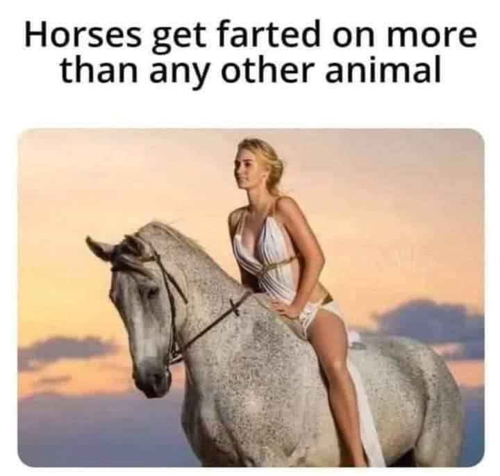 Horses get farted on more than any other animal