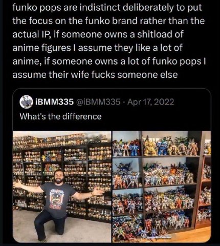 funko pops are indistinct deliberately to put the focus on the funko brand rather than the actual if someone owns a shitload of anime figures assume they like a lot of anime, if someone owns a lot of 