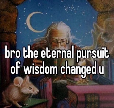 bro the eternal pursuit of wisdom changed