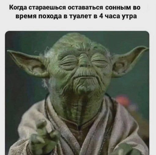 Когда стараешься оставаться сонным во время похода в туалет в 4 часа утра