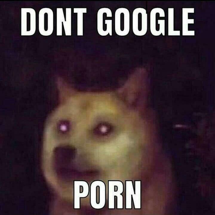 DONT GOOGLE PORN