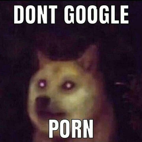 DONT GOOGLE PORN