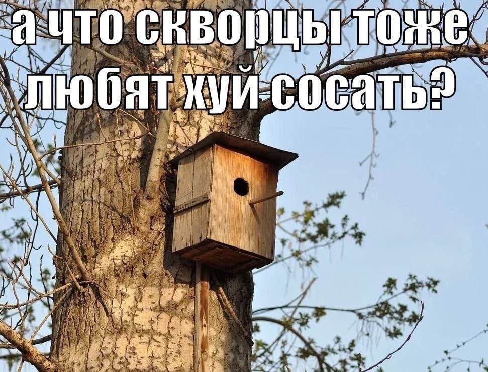 i 9 we a xed 4 у У ant у 1 и a ЗАМ.