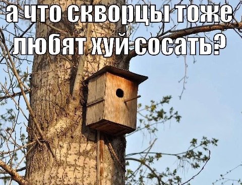 i 9 we a xed 4 у У ant у 1 и a ЗАМ.