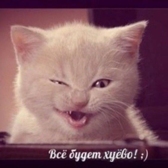 ‘Все будет хуево!