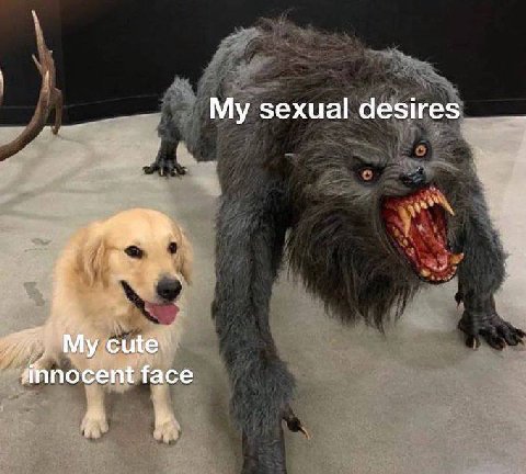 My sexual desires к My cute sinnocent face Pri