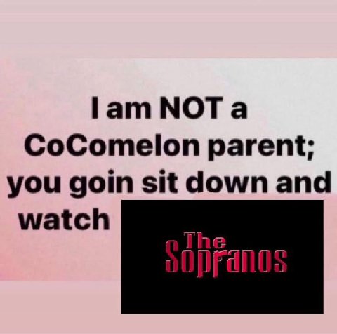 МОТа СоСотеюп parent; you дот sit down and watch
